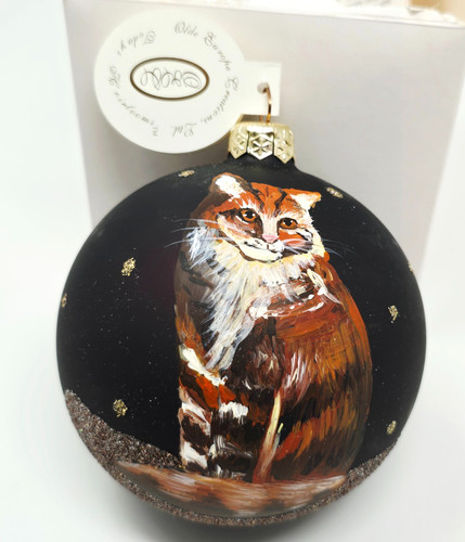 Maine coon cat - maine,