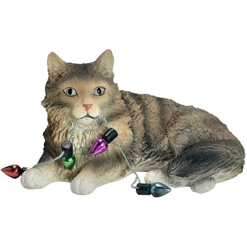 Sandicast brown tabby maine - sandicast,