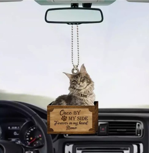 Personalized maine coon cat - personalized,