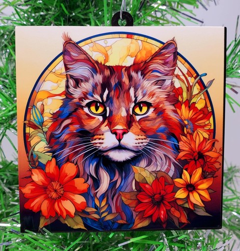 Cat maine coon - coon, christmas