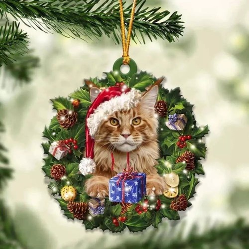 Maine coon cat christmas - cat,