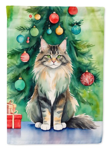 Maine coon cat christmas - maine,