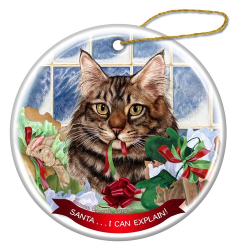 Maine coon brown tabby cat - brown,