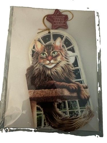 Maine coon siberian cat - maine,