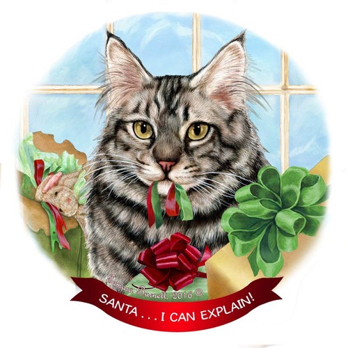 Maine coon silver tabby cat - coon,