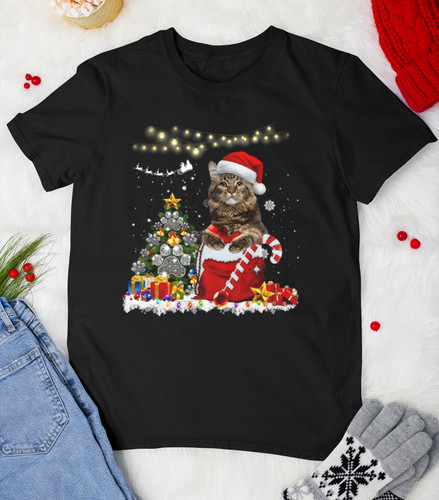 Maine coon cat christmas - coon,