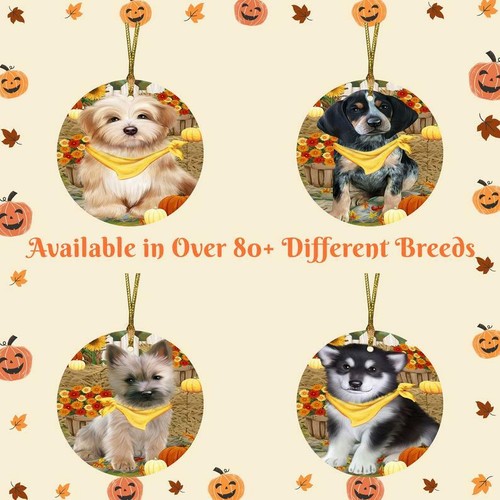 Fall autumn greeting - greeting, cat