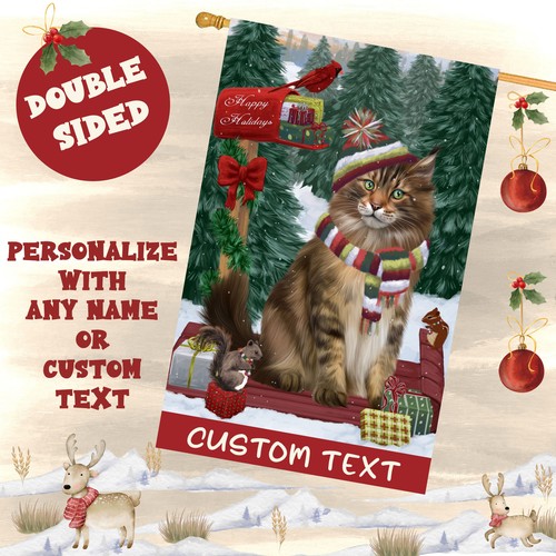 Maine coon cat - cat, house